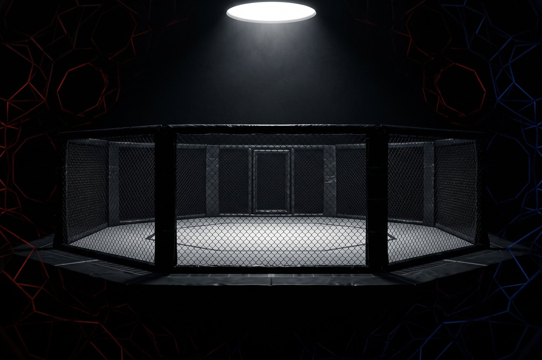 An empty MMA cage lit by a single overhead light in the dark